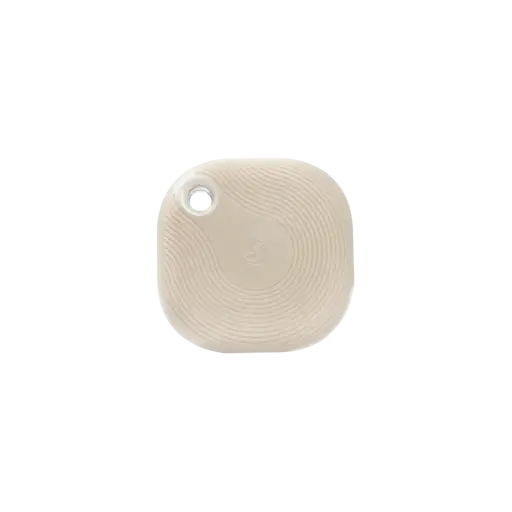 Shelly Mocha BLU Button Tough 1 ZB