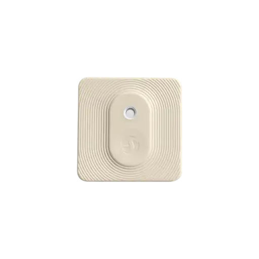 Shelly Ivory BLU H&T ZB