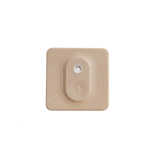 Shelly Mocha BLU H&T ZB